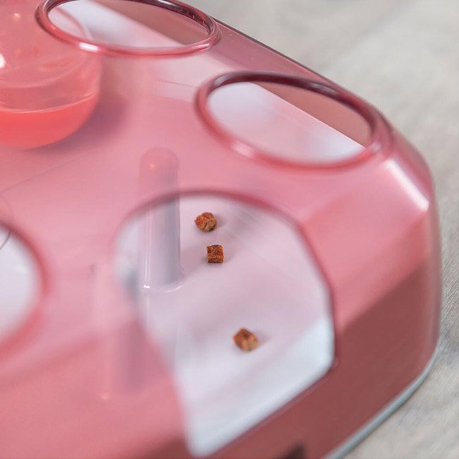 Jogo de inteligência SOCCER (Trixie) - Image 4