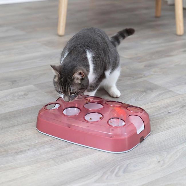 Jogo de inteligência SOCCER (Trixie) - Image 5