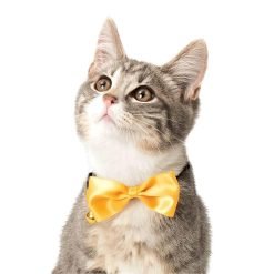 Coleira com laço amarelo Catit