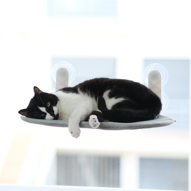 Cama de janela SPY COMPACT (ideal para janelas pequenas)