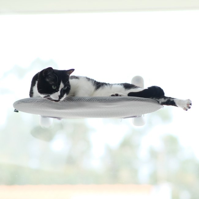 Cama de janela SPY COMPACT (ideal para janelas pequenas) - Image 5