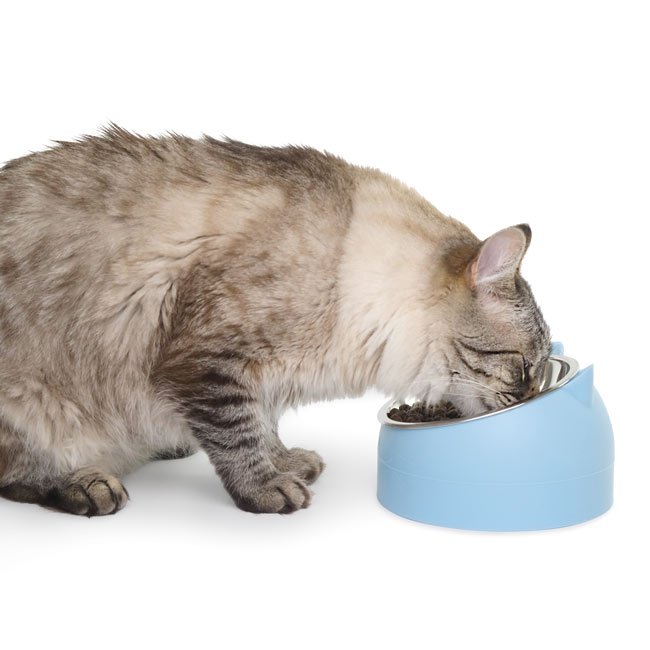 Comedouro inclinado com orelhas de gato BENNY - Image 3