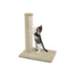 Arranhador BASIC Kitten para gatinhos