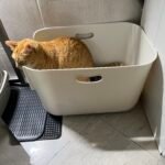 Caixa de areia VAL c/ paredes elevadas photo review