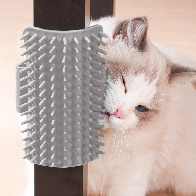 Escova de Automassagem com catnip (montagem com velcro) - Image 2