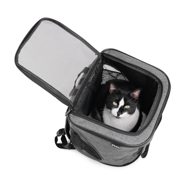 Mochila transportadora AUSTIN em tecido premium - Image 7