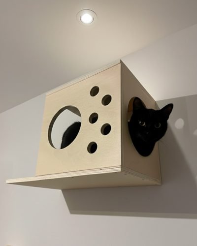 Cama de parede CUBIC em madeira photo review