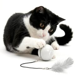 Alternative view of ROLLING BALL - Bola giratória (Carregamento por USB)