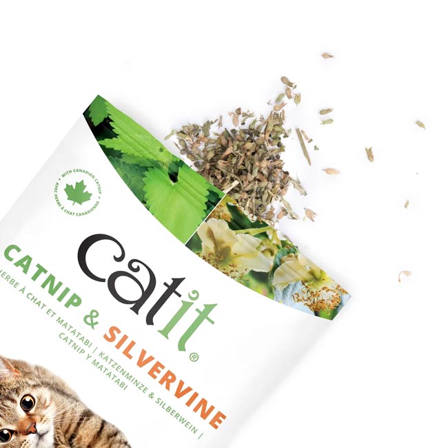 Catnip e Matatabi mistura seca Catit (28 g) - Image 2